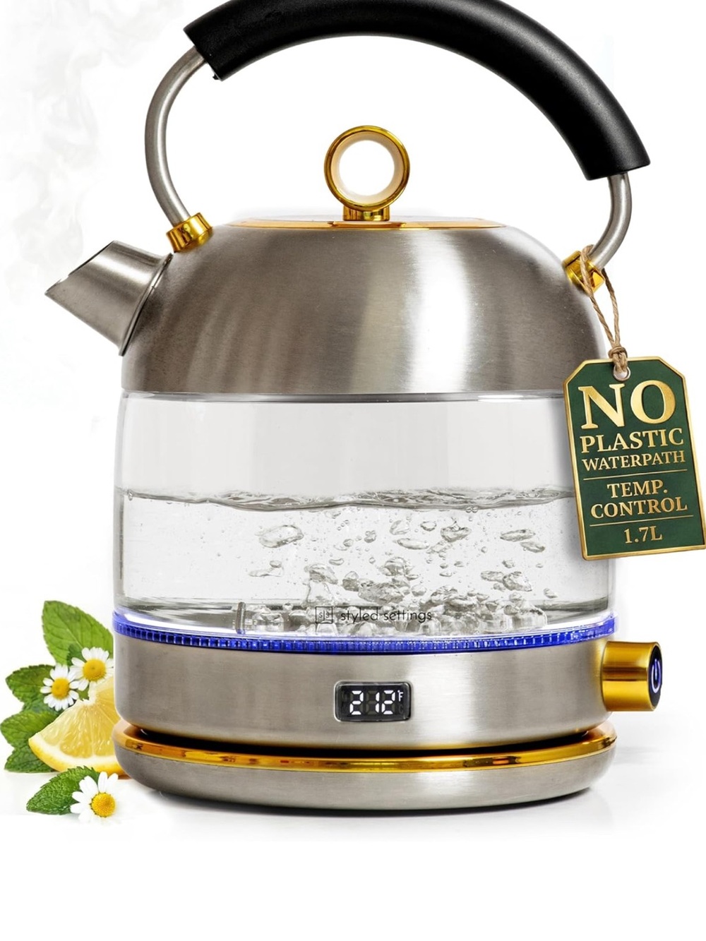 Stainless Steel Electric Kettle with Temperature Control